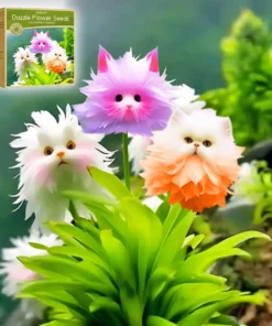 Charming Blossom Seeds