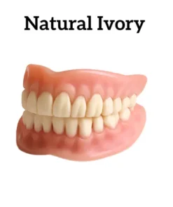 -Advanced Full Denture Set