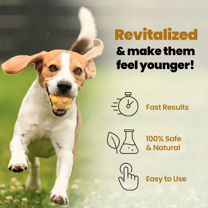 Joint Rejuvenation Drops - Image 3