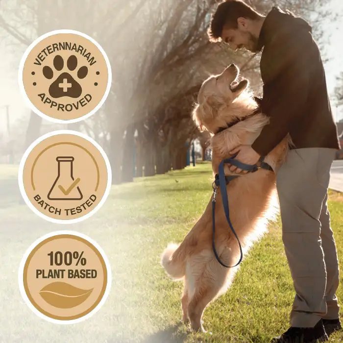 Joint Rejuvenation Drops - Image 6