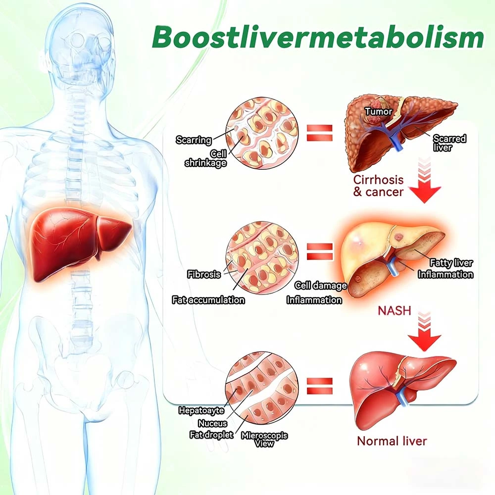 20-๐ฐ๐ต-1 ๐จ๐
๐๐๐๐๐๐
๐ต๐๐๐ ๐ด๐๐๐๐๐๐๐๐
๐๐ ๐ท๐๐๐๐ - Image 10