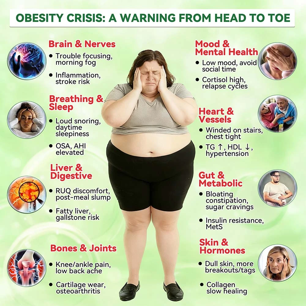 20-๐ฐ๐ต-1 ๐จ๐
๐๐๐๐๐๐
๐ต๐๐๐ ๐ด๐๐๐๐๐๐๐๐
๐๐ ๐ท๐๐๐๐ - Image 15